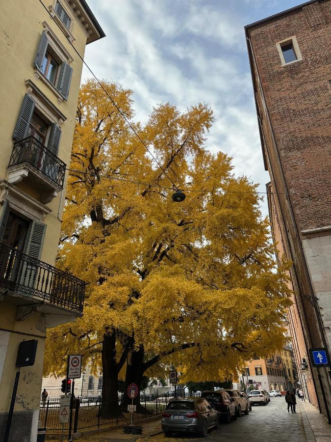 Domus Largo Pescheria Verona Kültér fotó